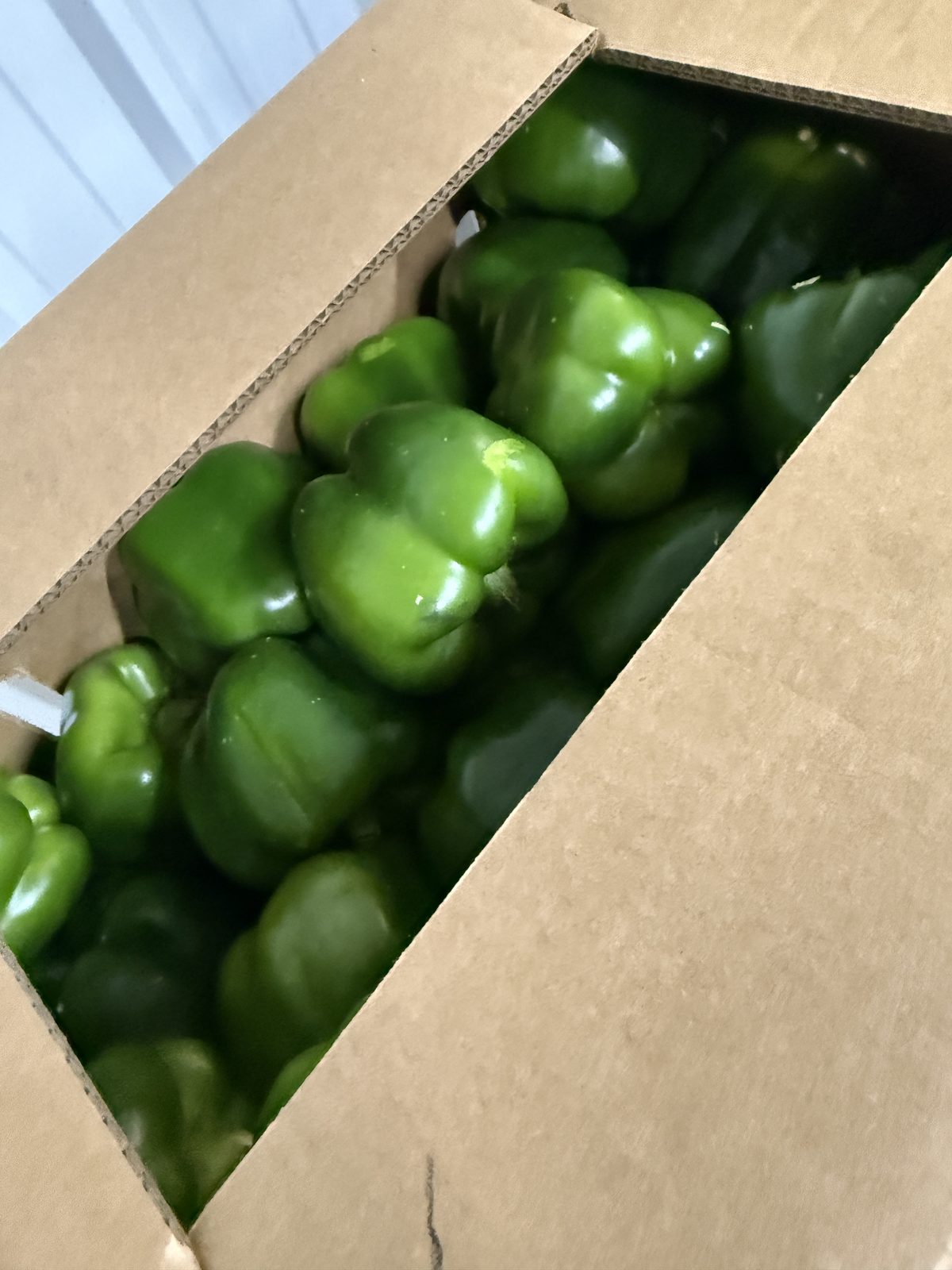 MAK Green Bell Peppers